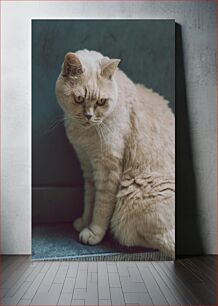 Πίνακας, Pensive Cat Σκεπτική γάτα