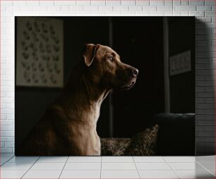 Πίνακας, Pensive Dog by the Window Σκεπτικός σκύλος δίπλα στο παράθυρο