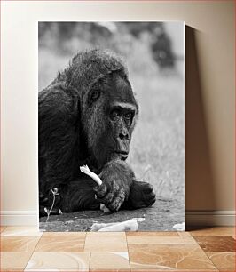 Πίνακας, Pensive Gorilla in Black and White Σκεπτικός γορίλας σε ασπρόμαυρο