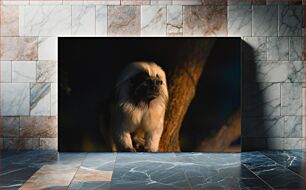 Πίνακας, Pensive Monkey in Low Light Σκεπτικός πίθηκος σε χαμηλό φως