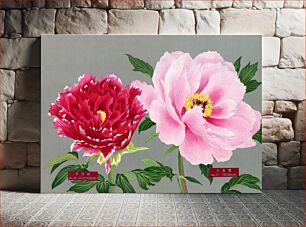 Πίνακας, Peony blossom, pink & red flower, vintage print from The Picture Book of Peonies by the Niigata Prefecture, Japan