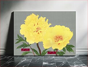 Πίνακας, Peony blossom, yellow flower, vintage print from The Picture Book of Peonies by the Niigata Prefecture, Japan