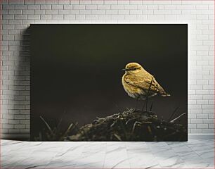 Πίνακας, Perched Bird in Shadow Σκαρφαλωμένο πουλί στη σκιά