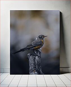 Πίνακας, Perched Bird Σκαρφαλωμένο πουλί