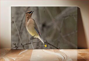 Πίνακας, Perched Bird on a Branch Σκαρφαλωμένο πουλί σε ένα κλαδί