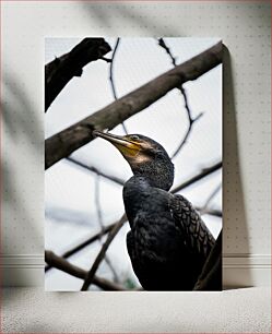 Πίνακας, Perched Bird on Branch Σκαρφαλωμένο πουλί στο κλαδί