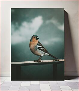 Πίνακας, Perched Bird with Soft Background Σκαρφαλωμένο πουλί με μαλακό φόντο