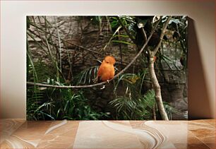 Πίνακας, Perched Orange Bird Amidst Greenery Σκαρφαλωμένο πορτοκαλί πουλί μέσα στο πράσινο