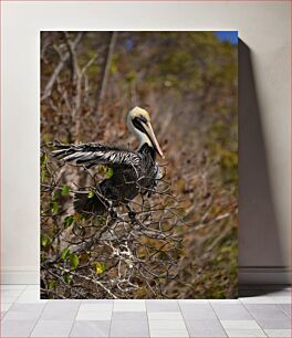 Πίνακας, Perching Pelican Πελεκάνος κουρνιάζει