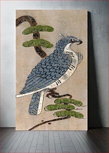 Πίνακας, Peregrine falcon (18th century) vintage Japanese painting