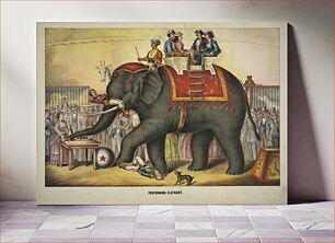 Πίνακας, Performing elephant
