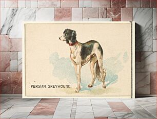 Πίνακας, Persian Greyhound, from the Dogs of the World series for Old Judge Cigarettes