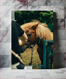 Πίνακας, Person Feeding Horse Πρόσωπο που ταΐζει άλογο