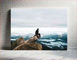 Πίνακας, Person Sitting on Rock Above Valley Πρόσωπο που κάθεται στο βράχο πάνω από την κοιλάδα