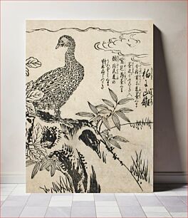 Πίνακας, Pheasant on Plum Tree by Tachibana Morikuni