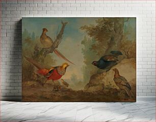 Πίνακας, Pheasants (ca. 1730–1760) by Aert Schouman