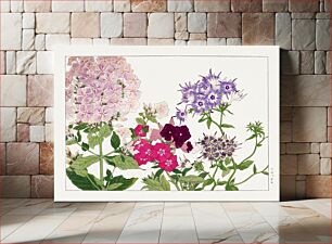 Πίνακας, Phlox flower, Japanese woodblock art