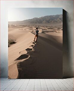 Πίνακας, Photographer in Desert Φωτογράφος στην Έρημο