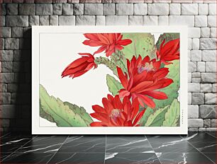Πίνακας, Phyiiocactus flower, Japanese woodblock art