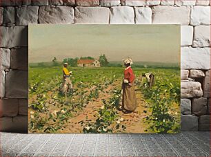 Πίνακας, Picking Cotton (ca. 1890) by William Gilbert Gaul