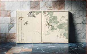 Πίνακας, Picture Book of Selected Insects by Kitagawa Utamaro