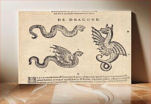 Πίνακας, Picture of a dragon. early modern scientific description