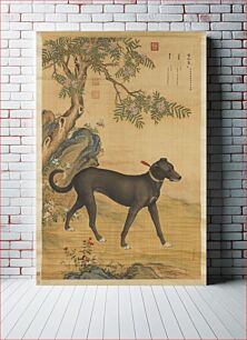 Πίνακας, Picture of Xueluzhua (雪爪卢), a Chinese greyhound, from Ten Prized Dogs Album by Giuseppe Castiglione