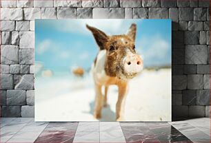 Πίνακας, Pig on the Beach Γουρουνάκι στην παραλία