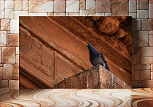 Πίνακας, Pigeon on a Historical Building Περιστέρι σε ένα ιστορικό κτίριο