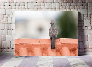 Πίνακας, Pigeon on a Roof Περιστέρι σε στέγη