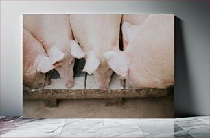 Πίνακας, Pigs Eating Γουρούνια που τρώνε