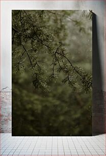 Πίνακας, Pine Branch in Rain Κλαδί Πεύκου στη Βροχή