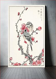 Πίνακας, Pine Bunting and Plum Tree illustration. Pictorial Monograph of Birds (1885) by Numata Kashu (1838-1901)