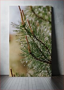 Πίνακας, Pine Tree Close-Up Κοντινό πλάνο Pine Tree