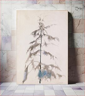 Πίνακας, Pine Tree