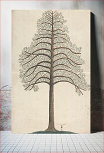Πίνακας, Pine Tree