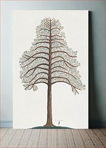 Πίνακας, Pine Tree, vintage botanical illustration