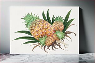 Πίνακας, Pineapple