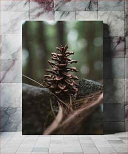 Πίνακας, Pinecone in the Forest Πεύκο στο Δάσος