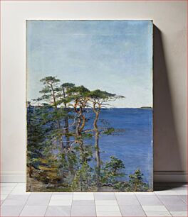 Πίνακας, Pines by the sea, 1895, Sigrid Granfelt