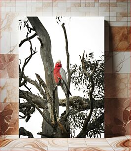 Πίνακας, Pink Bird on a Tree Ροζ πουλί σε ένα δέντρο
