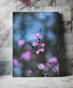 Πίνακας, Pink Blossoms in Spring Ροζ άνθη την άνοιξη