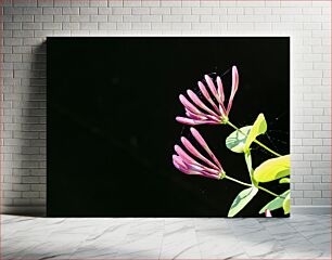 Πίνακας, Pink Flowers Against Dark Background Ροζ λουλούδια σε σκούρο φόντο