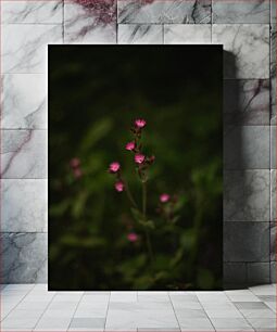 Πίνακας, Pink Flowers in Dark Background Ροζ λουλούδια σε σκούρο φόντο