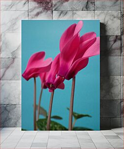 Πίνακας, Pink Flowers on Blue Background Ροζ λουλούδια σε μπλε φόντο