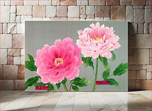 Πίνακας, Pink peonies, vintage flower print from The Picture Book of Peonies by the Niigata Prefecture, Japan