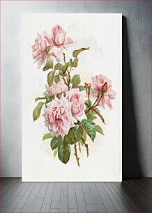Πίνακας, Pink roses; La France roses (1861–1897), vintage flower illustration by J. Bleischwitz