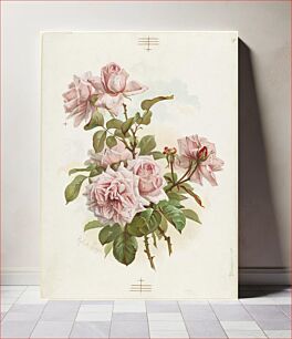 Πίνακας, Pink roses; La France roses