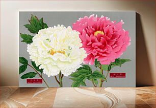 Πίνακας, Pink & white peonies, vintage flower print from The Picture Book of Peonies by the Niigata Prefecture, Japan