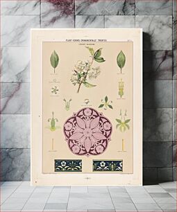 Πίνακας, Plant-forms ornamentally treated - cherry blossom